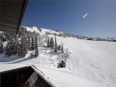 Steamboat Springs Home 927970 Steamboat Springs Home 927970
