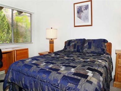 Steamboat Springs Home 927971