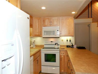 Steamboat Springs Home 927971