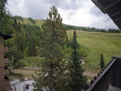 Steamboat Springs Home 927971