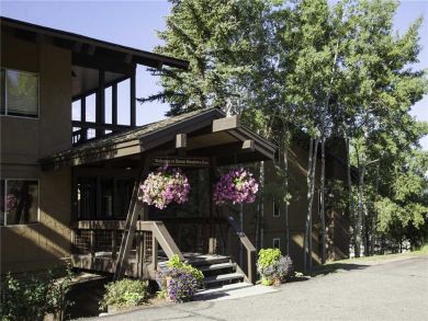 Steamboat Springs Home 927971