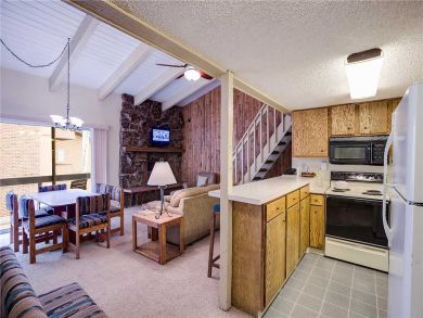Steamboat Springs Home 927972