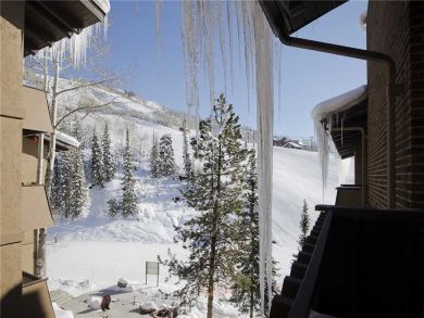 Steamboat Springs Home 927972