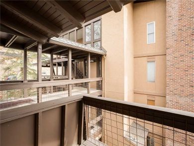 Steamboat Springs Home 927972