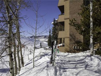 Steamboat Springs Home 927972