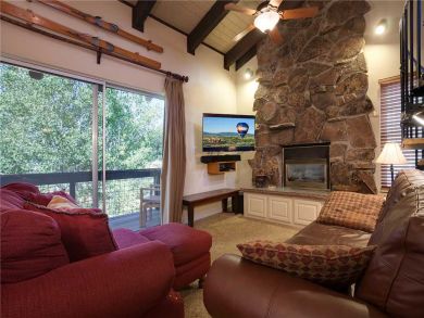 Steamboat Springs Home 927973