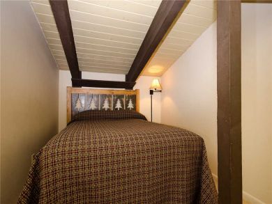 Steamboat Springs Home 927973