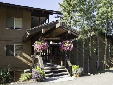Steamboat Springs Home 927973