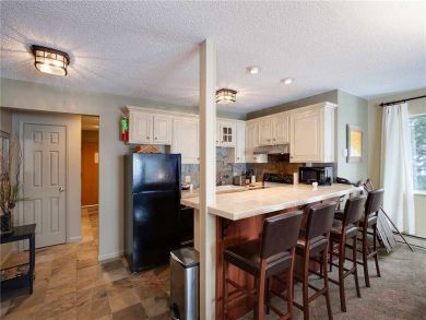 Steamboat Springs Home 927975
