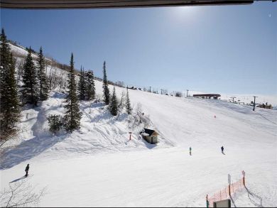 Steamboat Springs Home 927975