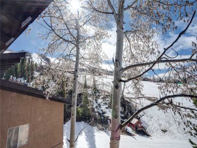 Steamboat Springs Home 927978 Steamboat Springs Home 927978