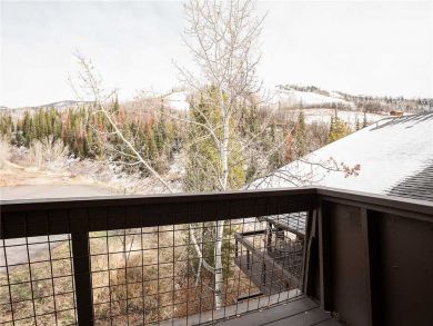 Steamboat Springs Home 927979 Steamboat Springs Home 927979