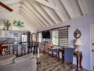 St. Croix One Bedroom Condo Rental Walk to Beach Sleeps 4