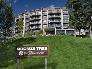 Steamboat Springs Home 927984 Steamboat Springs Home 927984