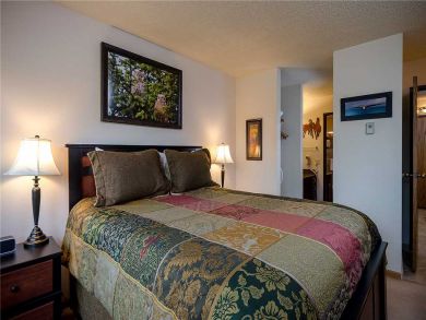 Steamboat Springs Home 927986