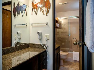 Steamboat Springs Home 927986