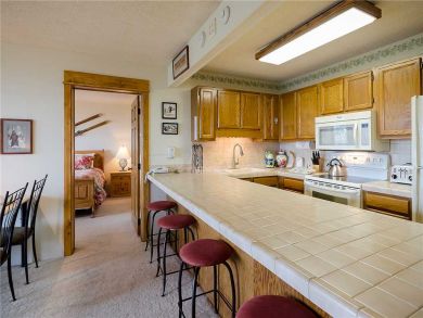 Steamboat Springs Home 927989