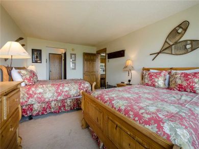 Steamboat Springs Home 927989