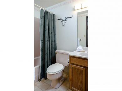 Steamboat Springs Home 927989