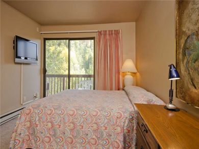 Steamboat Springs Home 927991