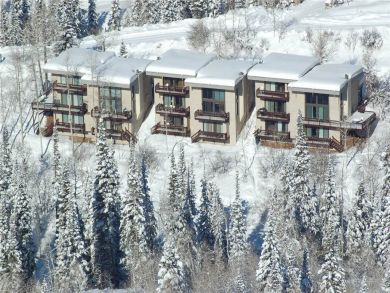 Steamboat Springs Home 927991