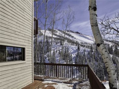 Steamboat Springs Home 927991