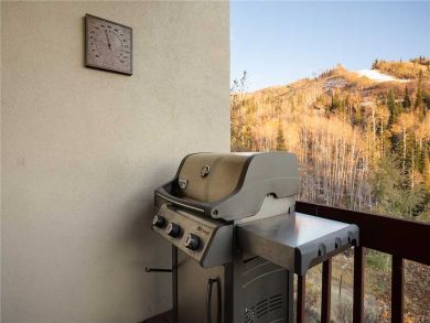 Steamboat Springs Home 927993 Steamboat Springs Home 927993