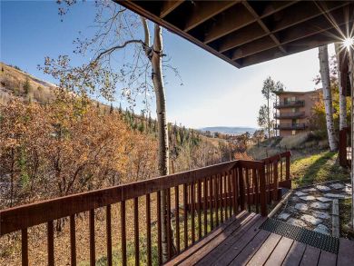 Steamboat Springs Home 927993 Steamboat Springs Home 927993