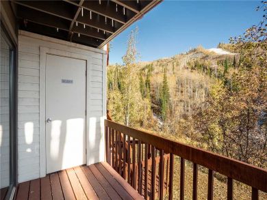 Steamboat Springs Home 927993 Steamboat Springs Home 927993