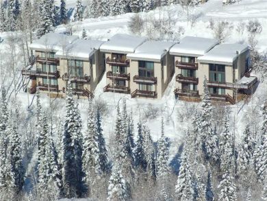 Steamboat Springs Home 927993 Steamboat Springs Home 927993