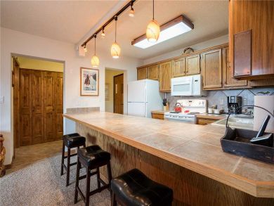 Steamboat Springs Home 927995