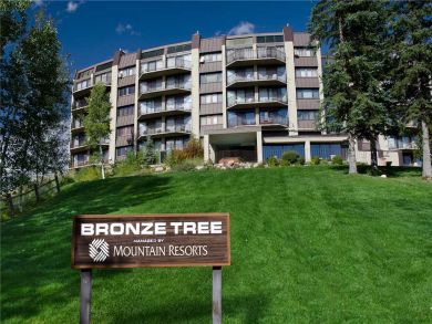 Steamboat Springs Home 927996