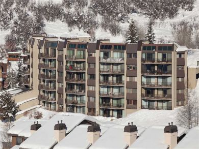 Steamboat Springs Home 927996