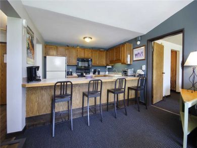 Steamboat Springs Home 927998