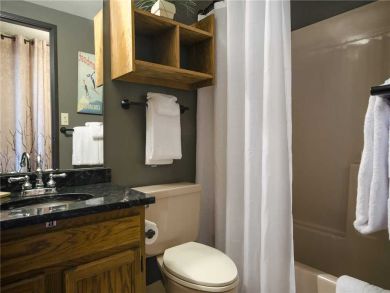 Steamboat Springs Home 927998