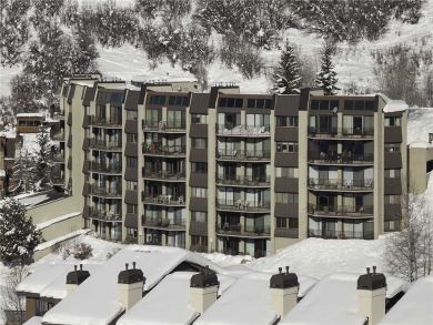Steamboat Springs Home 927998