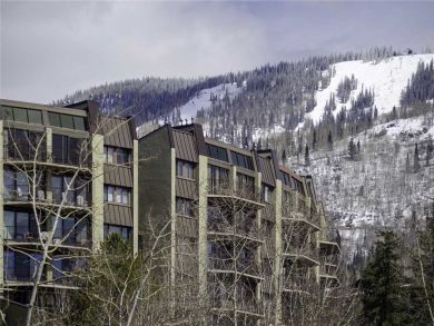 Steamboat Springs Home 927998