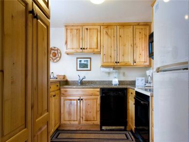 Steamboat Springs Home 928002