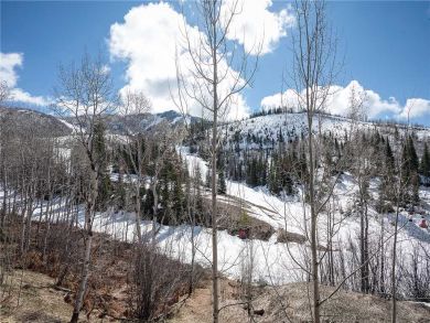Steamboat Springs Home 928002
