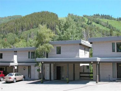 Steamboat Springs Home 928002