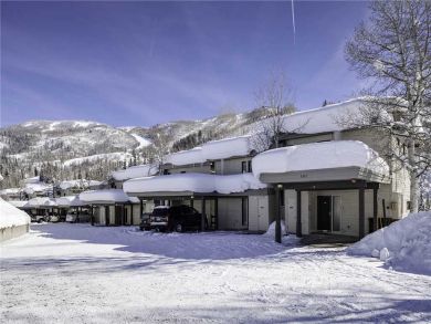 Steamboat Springs Home 928002