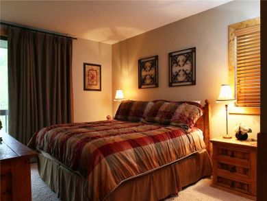 Steamboat Springs Home 928003