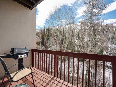 Steamboat Springs Home 928003