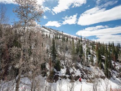 Steamboat Springs Home 928003