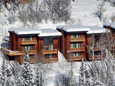 Steamboat Springs Home 928003