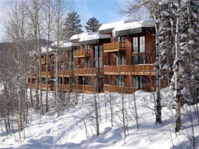 Steamboat Springs Home 928003