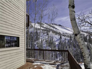 Steamboat Springs Home 928003