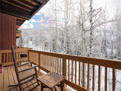 Steamboat Springs Home 928004