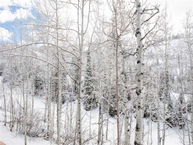 Steamboat Springs Home 928004