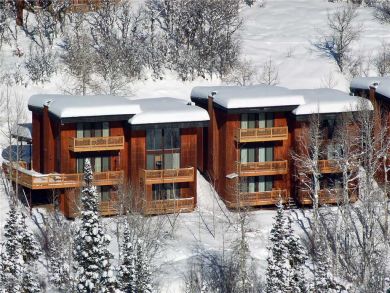 Steamboat Springs Home 928004